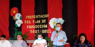 Foto: Plan de producción 2021 para fortalecer la capacidad de siembra en Tipitapa/TN8
