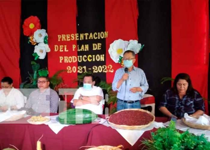 Foto: Plan de producción 2021 para fortalecer la capacidad de siembra en Tipitapa/TN8
