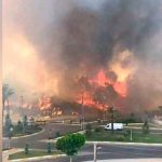 incendio forestal en Turquía