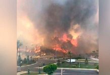 incendio forestal en Turquía