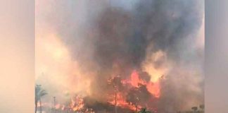 incendio forestal en Turquía