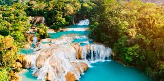 mexico, cascada, acida, turista, portugues, cuerpo,