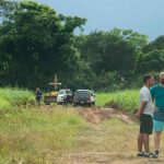 costa rica, pococi, hombre, ataque, abejas, muerte,