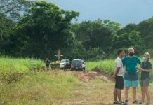 Costa Rica: hombre murió atacado por abejas africanizadas costa rica, pococi, hombre, ataque, abejas, muerte,