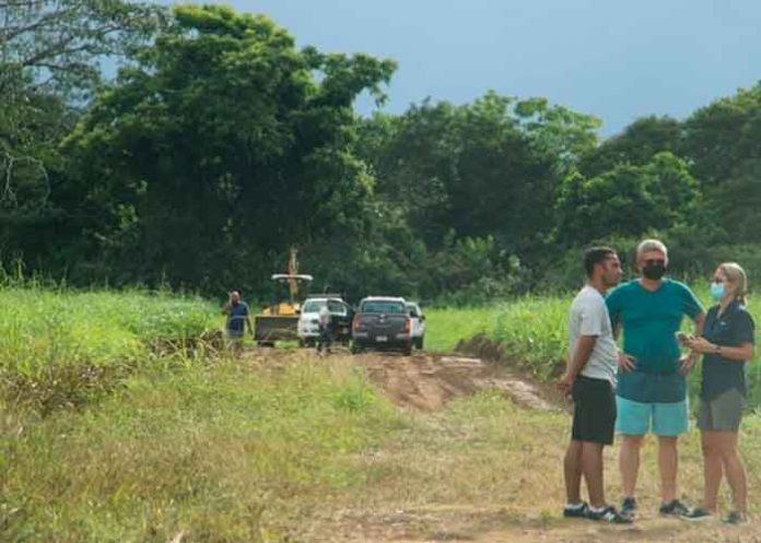 costa rica, pococi, hombre, ataque, abejas, muerte,