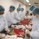 Vietnam produce primer lote de la vacuna rusa Sputnik V Vietnam produce primer lote de la vacuna rusa Sputnik V en su territorio