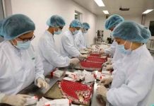 Vietnam produce primer lote de la vacuna rusa Sputnik V en su territorio