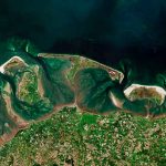 algas, mar del norte, imagenes,