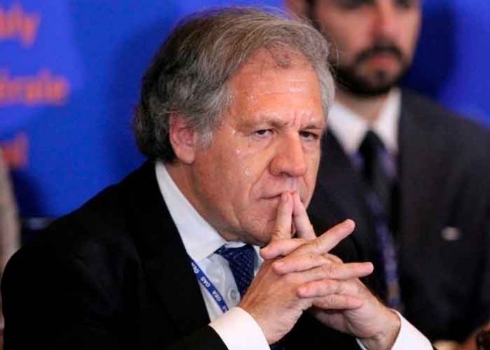 secretario general de la OEA, Luis Almagro