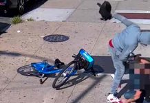 Anciano es brutalmente golpeado a plena luz del día en Nueva York