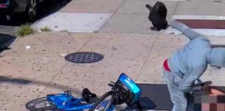 Anciano es brutalmente golpeado a plena luz del día en Nueva York