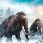 mamuts, mastodontes, extinguieron, cambio climático,