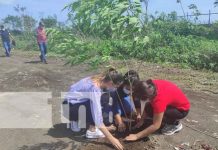 ALMA lanza plan de reforestación para cuidar la Madre Tierra