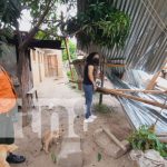 Foto: Fuertes vientos dejan árboles colapsados en Mozonte y daños en Ocotal / TN8