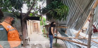 Foto: Fuertes vientos dejan árboles colapsados en Mozonte y daños en Ocotal / TN8