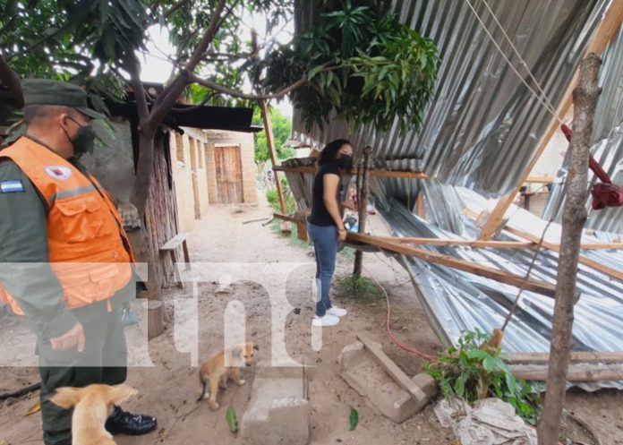 Foto: Fuertes vientos dejan árboles colapsados en Mozonte y daños en Ocotal / TN8