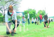 Siembra de árboles en el Parque Julio Buitrago en Managua Siembra de árboles en el Parque Julio Buitrago