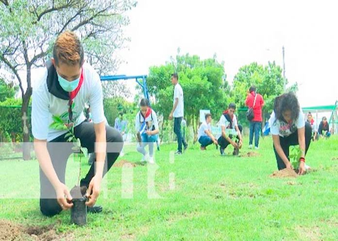 Siembra de árboles en el Parque Julio Buitrago