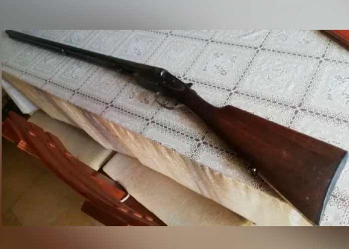 Argentina, delta, escopeta, niña de 5 años,