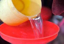 alcohol, camboya, funeral, muertos,