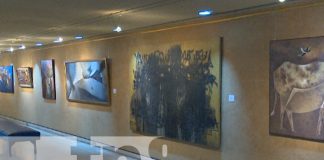 Foto: Exposición de artes plásticas en el teatro Rubén Darío / TN8