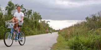 Un hombre de Florida herido tras ser atacado por un caimán