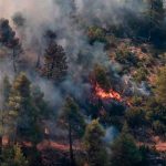 Incendio forestal al norte de Atenas
