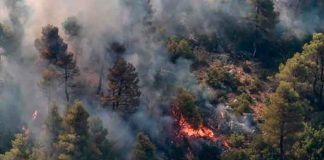 Incendio forestal al norte de Atenas