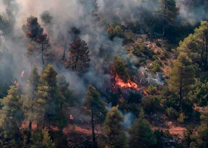 Incendio forestal al norte de Atenas