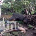Tras 28 horas de búsqueda encuentran cuerpo de joven en León nicaragua, leon, cuerpo, menor, ahogado,