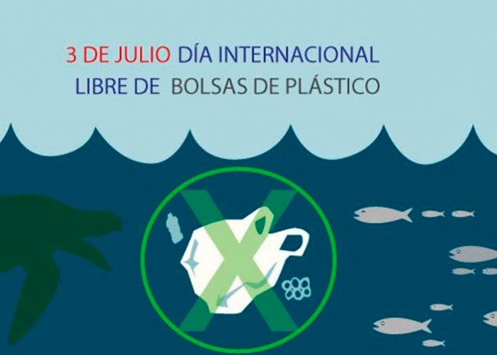 bolsas, recicla, dia internacional, plástico,