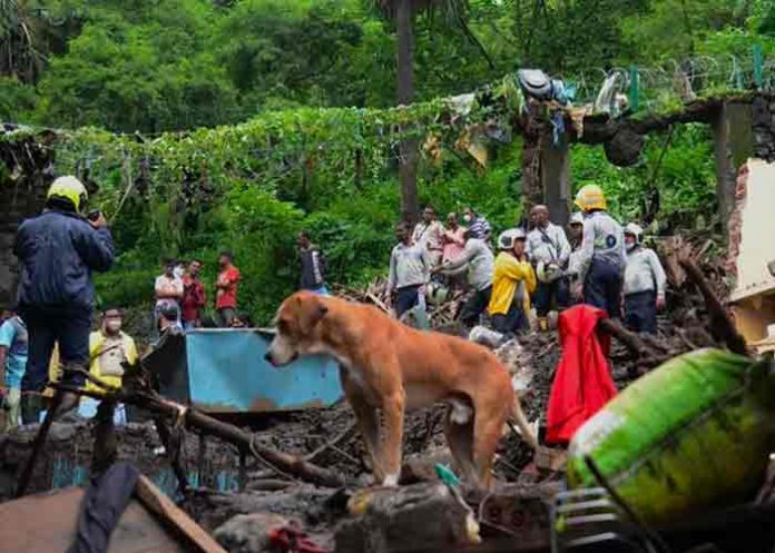 Deslizamiento de tierra por monzón deja al menos 34 muertos en la India