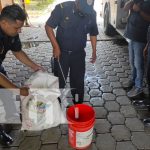 Foto: Entregan al MARENA caimán atrapado por pobladores en Managua / TN8