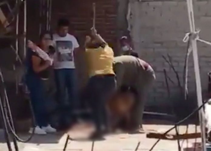 Foto: Eugenio Derbez pide justicia por perro asesinado en México / Infobae