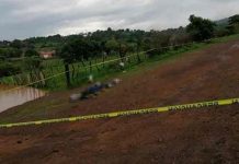 Hallan cinco cadáveres apilados en Michoacán, México