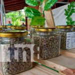 Todo un éxito fue la Expo Café en Río San Juan Expo Café en Río San Juan