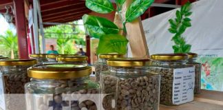 Expo Café en Río San Juan