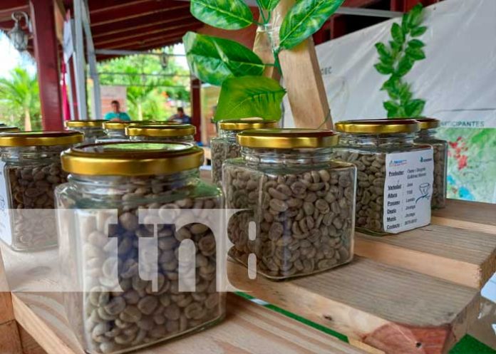 cafe2 Expo Café en Río San Juan