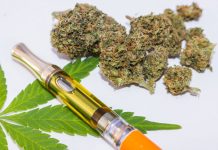 Foto: ¿Qué hace popular y peligroso al Delta-8, el "primo" de la marihuana? / Referencia