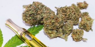 Foto: ¿Qué hace popular y peligroso al Delta-8, el "primo" de la marihuana? / Referencia