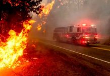 Foto: Canadá declara estado de emergencia por incendios/Referencia