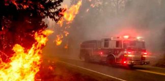Foto: Canadá declara estado de emergencia por incendios/Referencia
