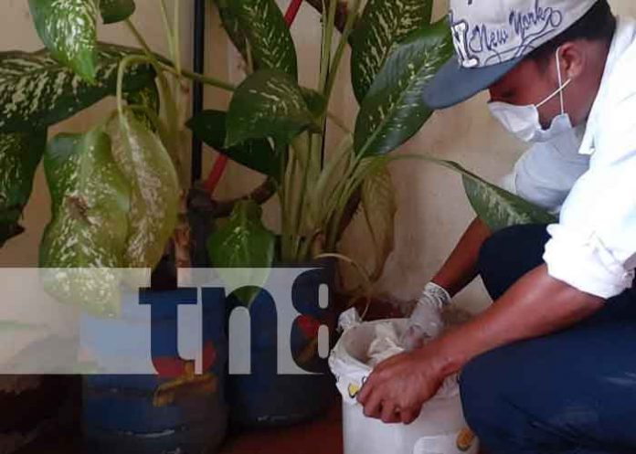 nicaragua, granada, biorat, desratizacion,