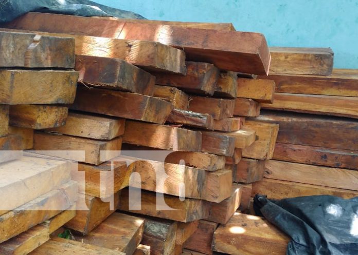 Foto: Incautan timbres de madera preciosa en comarca El Anzuelo / TN8