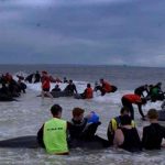 China , Zhejiang, ballenas varadas, guardacostas