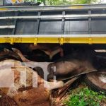 Desperfectos mecánicos provoca vuelco en Villa Sandino, Chontales Desperfectos mecánicos provoca vuelco en Villa Sandino, Chontales