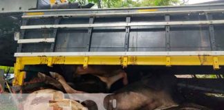 Desperfectos mecánicos provoca vuelco en Villa Sandino, Chontales