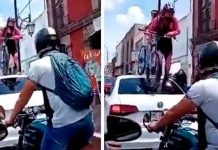 Viral: Ciclista pasa sobre un vehículo que no respetó la ciclovía mexico, ciclovia, auto,
