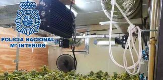 españa, marihuana, narcotrafico, crimen organizado,
