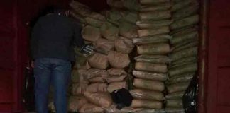 Incautan más de 3 toneladas de cocaína en bolsas de azúcar, Paraguay